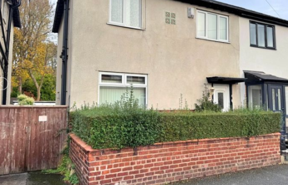 Full Renovation Project in Edgeley photo